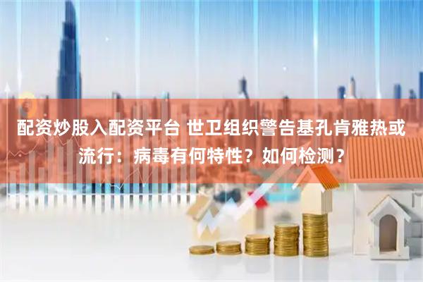 配资炒股入配资平台 世卫组织警告基孔肯雅热或流行：病毒有何特性？如何检测？