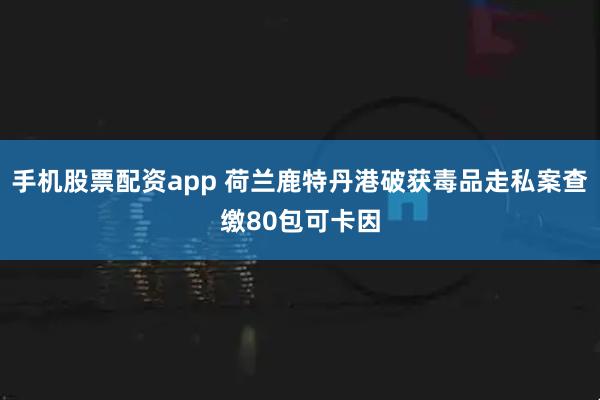 手机股票配资app 荷兰鹿特丹港破获毒品走私案查缴80包可卡因