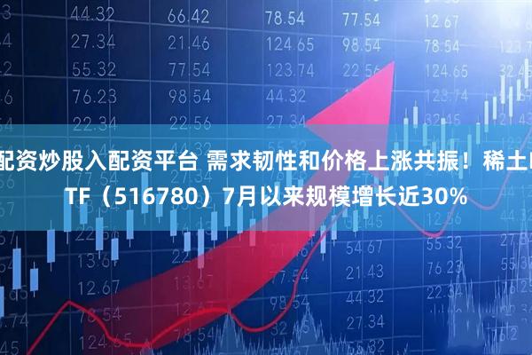 配资炒股入配资平台 需求韧性和价格上涨共振！稀土ETF（516780）7月以来规模增长近30%